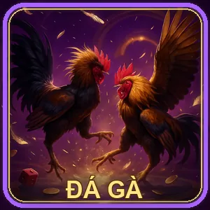 Đá Gà Trực Tuyến Win33 Link Vào